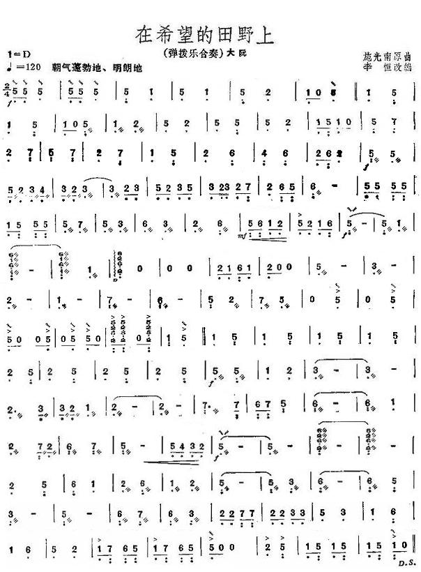 On the Field of Hope (Da Nguyen)（daruan sheet music）