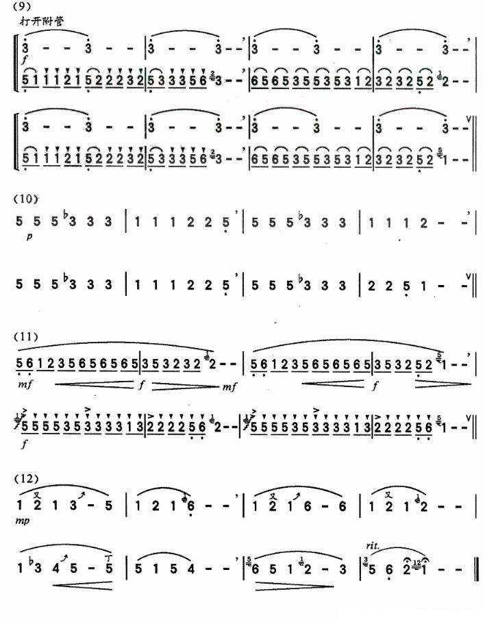 Love Song Variations（hulusi sheet music）