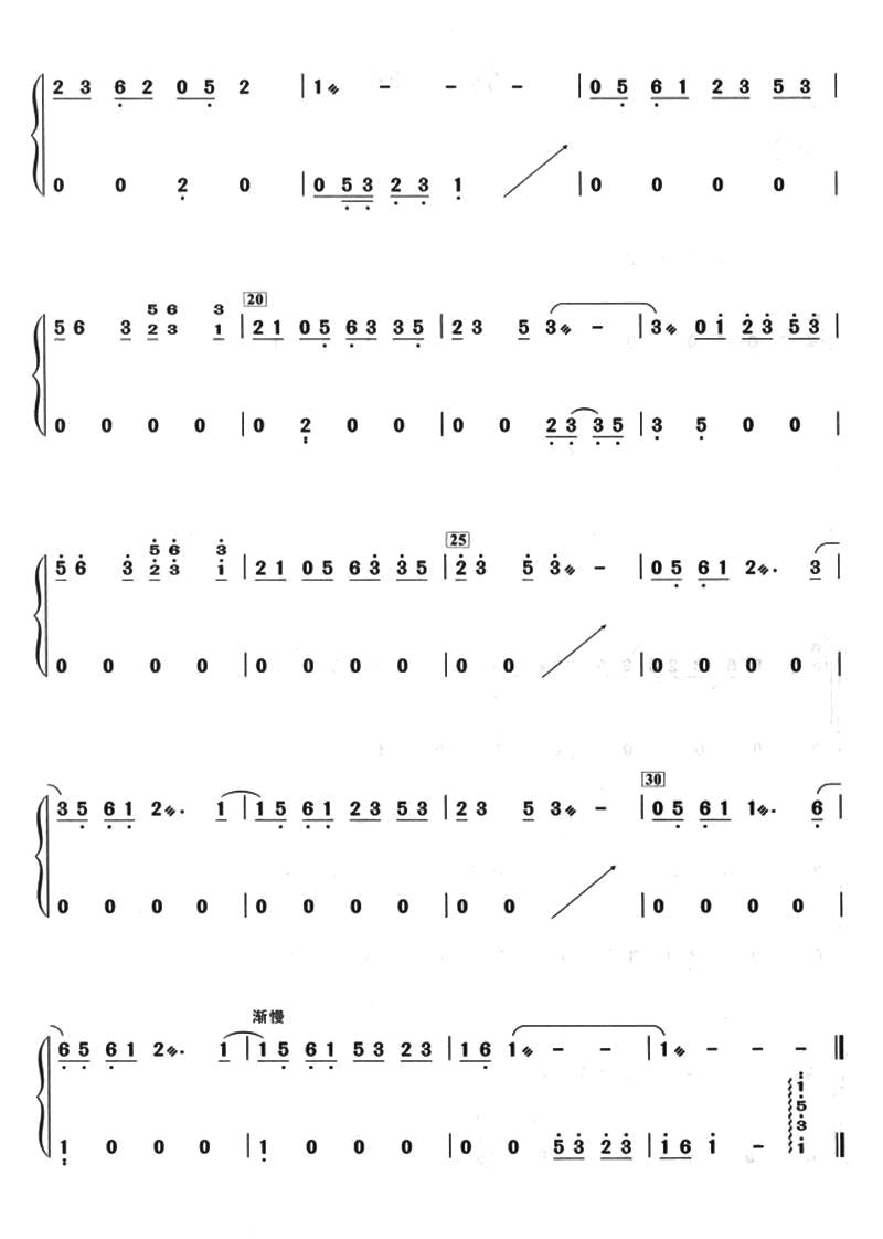 Annual Rings (Pipa)（pipa sheet music）