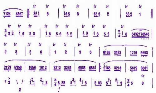 The Wujiang River is singing happily（dizi sheet music）