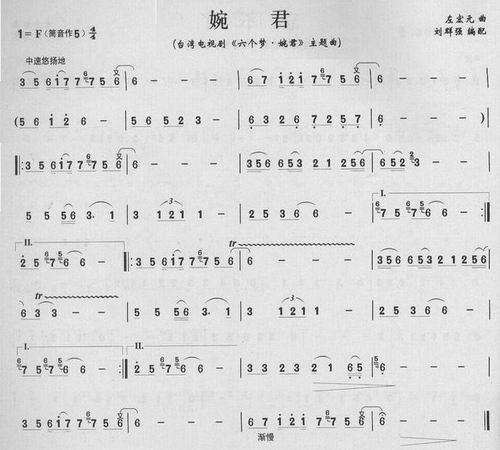 Wan Jun（dizi sheet music）