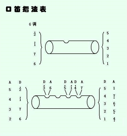 Five-hole flute fingering table