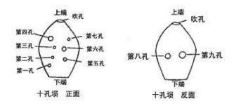 Xun appearance and structure