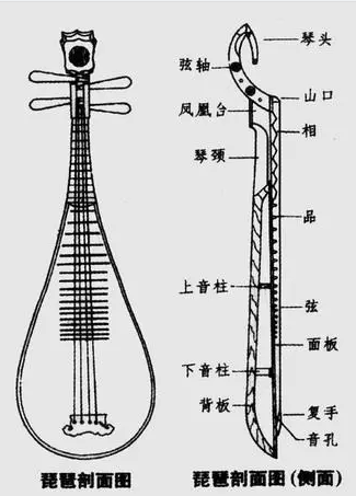 The structure of the lute