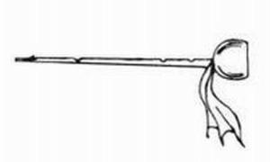 The appearance and structure of the pen tube