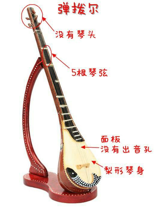The plucked type of common ethnic musical instruments in Xinjiang