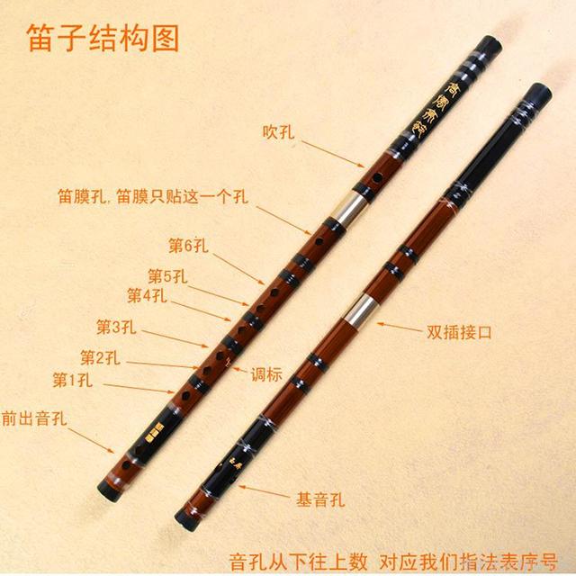 How to choose the right flute for an autodidact