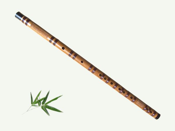 The origin of the allusions to the flute solo 