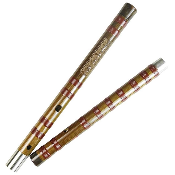 The difference between flute and bamboo flute