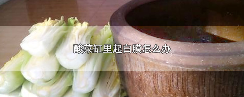 腌制酸菜的缸口要密封还是透气 酸菜缸里起白膜的解决办法