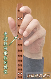 Detailed drill diagrams of erhu finger movements