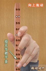 Detailed drill diagrams of erhu finger movements