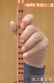 Detailed graphic teaching of the fingering of the major and minor second intervals of the erhu