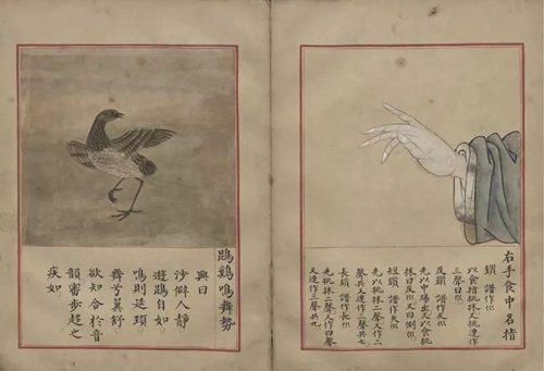 Graphical introduction of nine kinds of guqin playing gestures